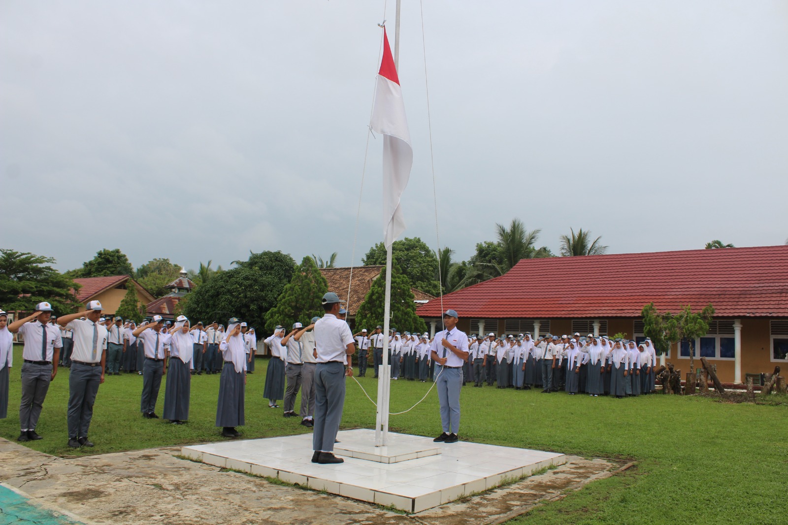 Selamat Datang di Website Baru Kami
